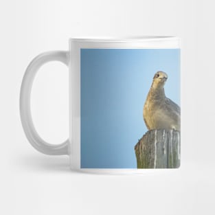 Portrait of a Gull Mug